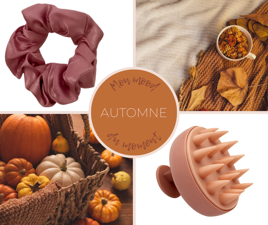 5 astuces pour bien entretenir ses cheveux en automne đ
