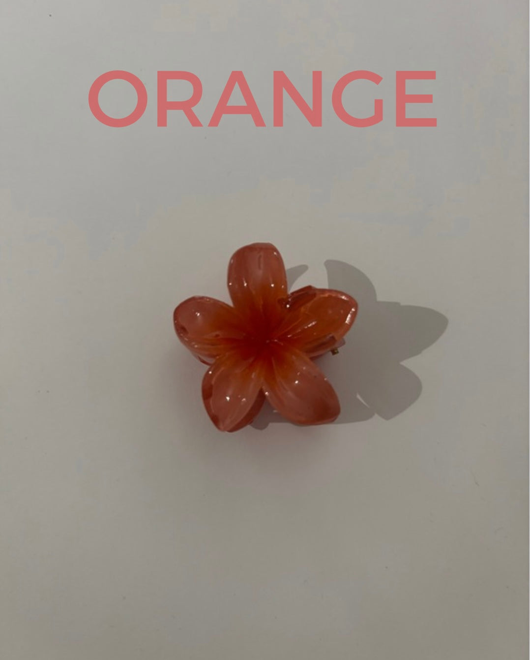 Petites pinces Hawaïennes