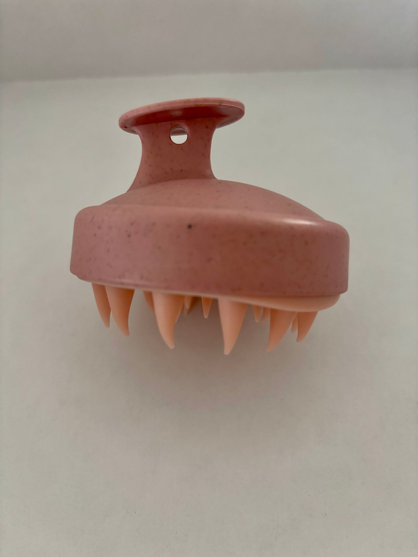 Brosse à shampoing