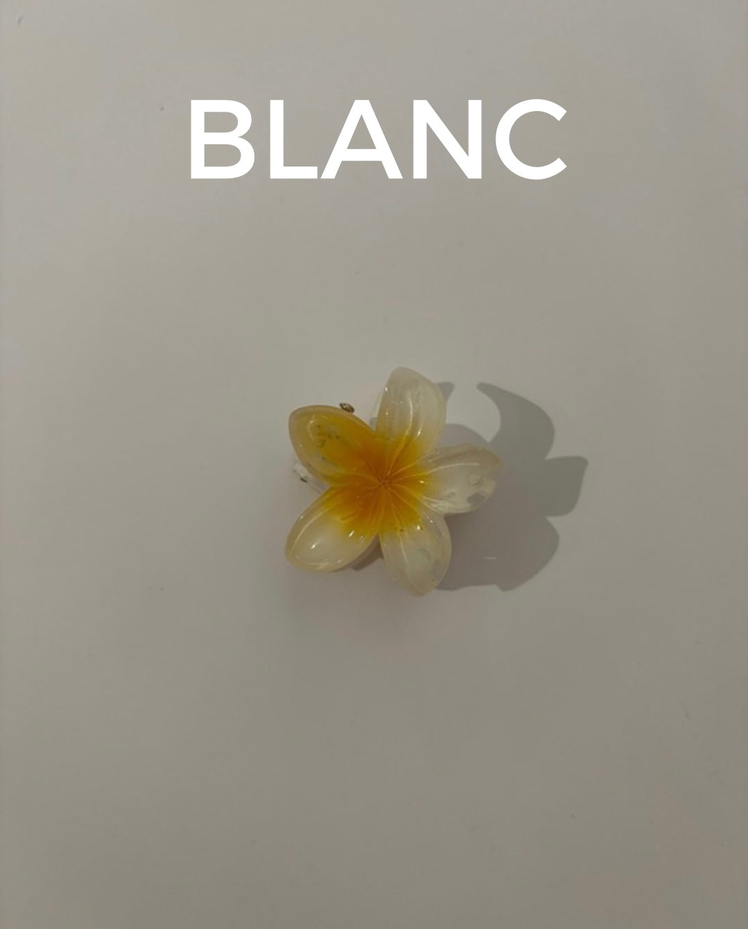 Petites pinces Hawaïennes