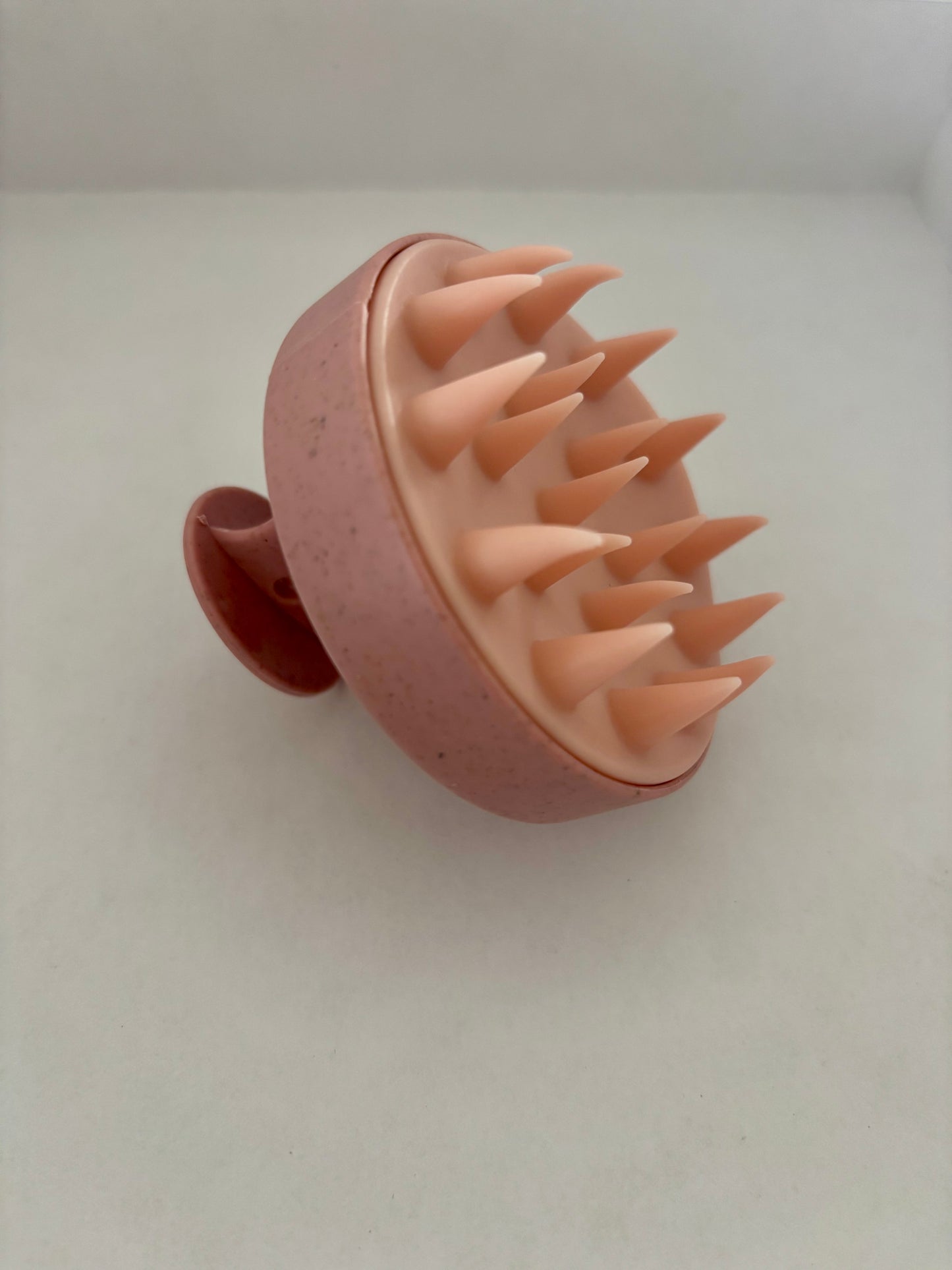 Brosse à shampoing