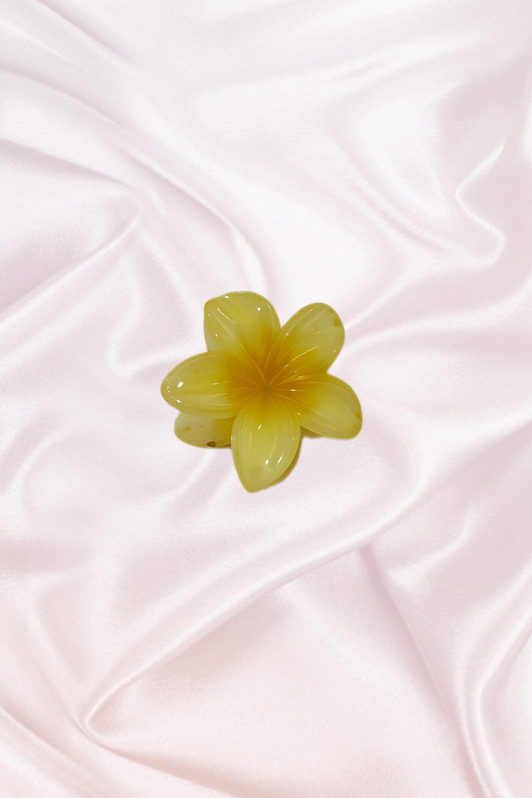 Petites pinces Hawaïennes