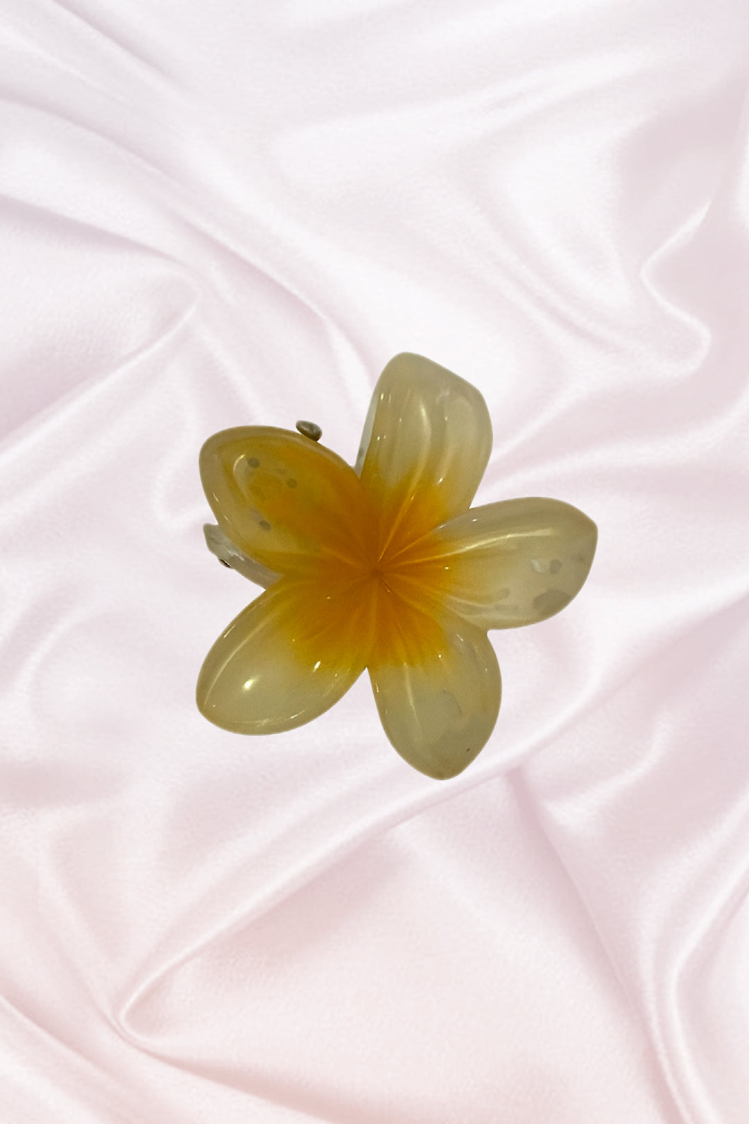 Petites pinces Hawaïennes