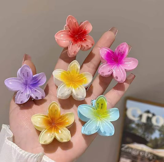 Petites pinces Hawaïennes