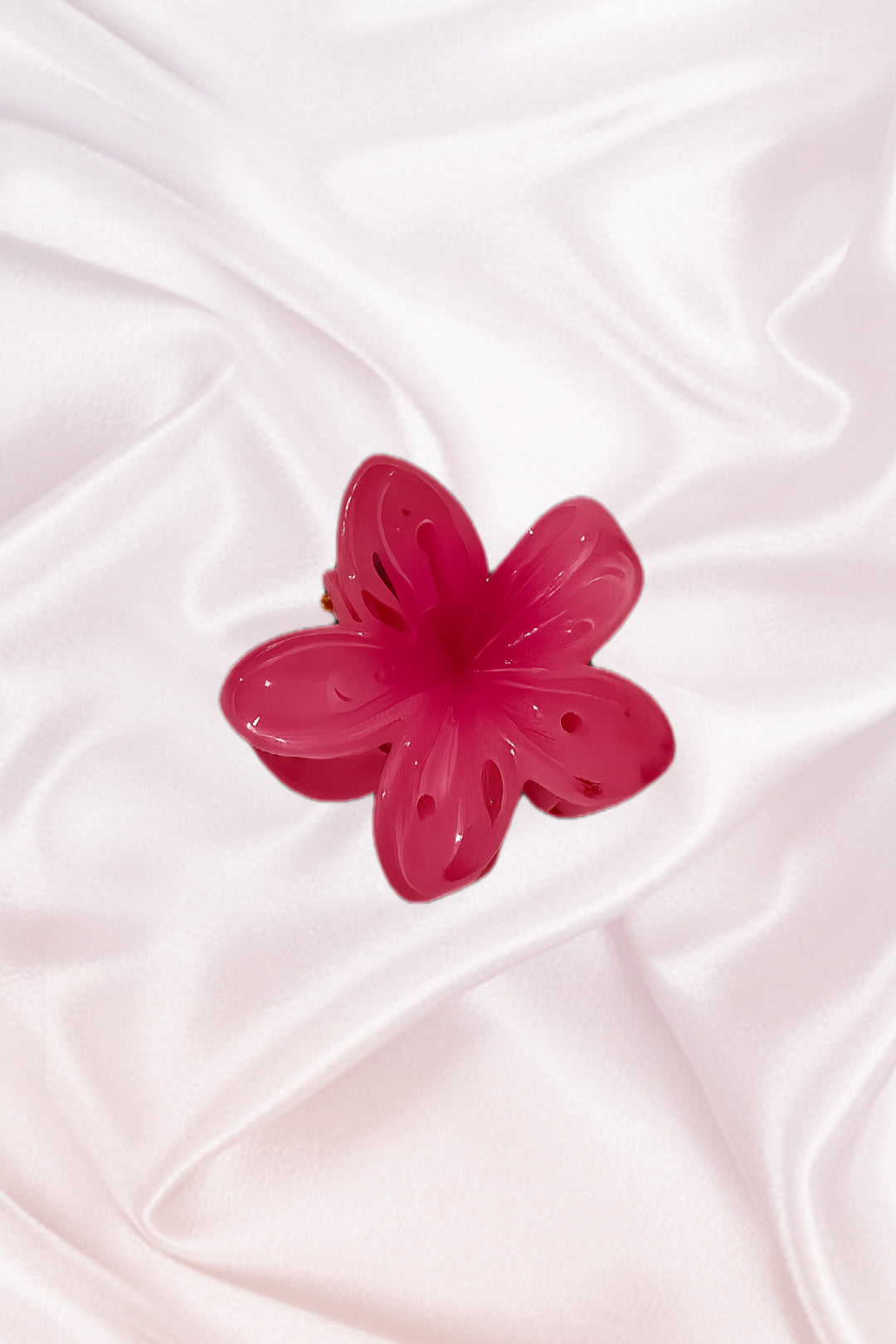 Small Hawaiian clips