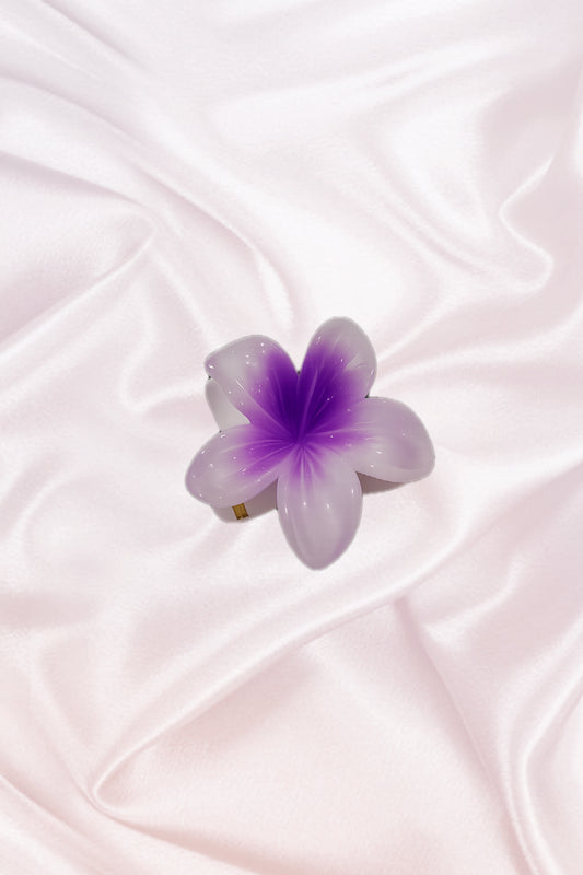 Petites pinces Hawaïennes