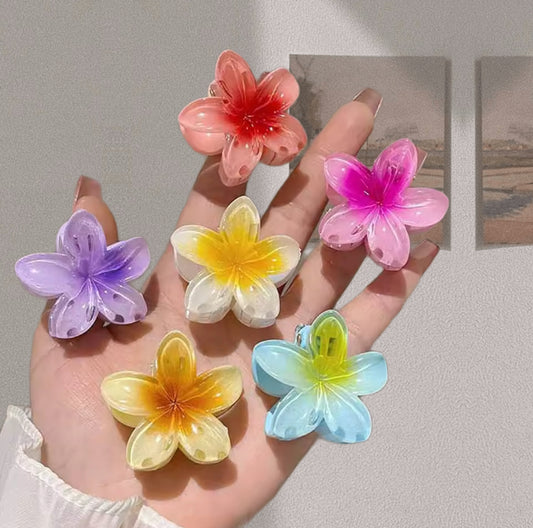 Small Hawaiian clips