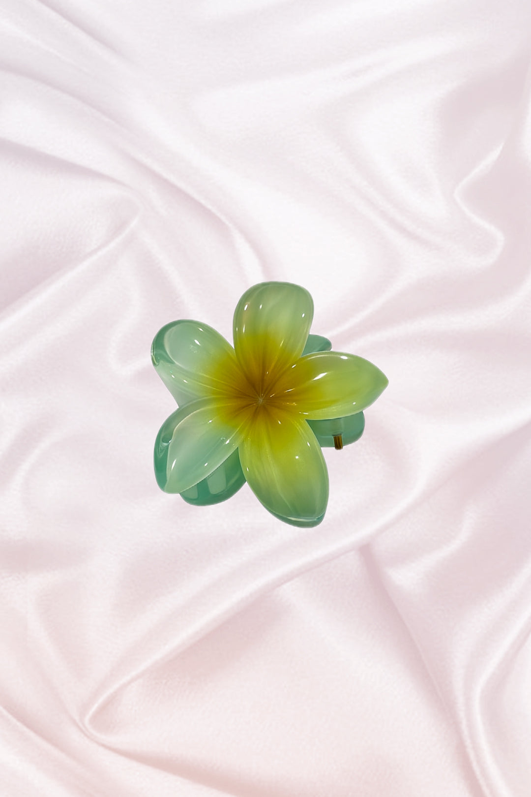 Small Hawaiian clips